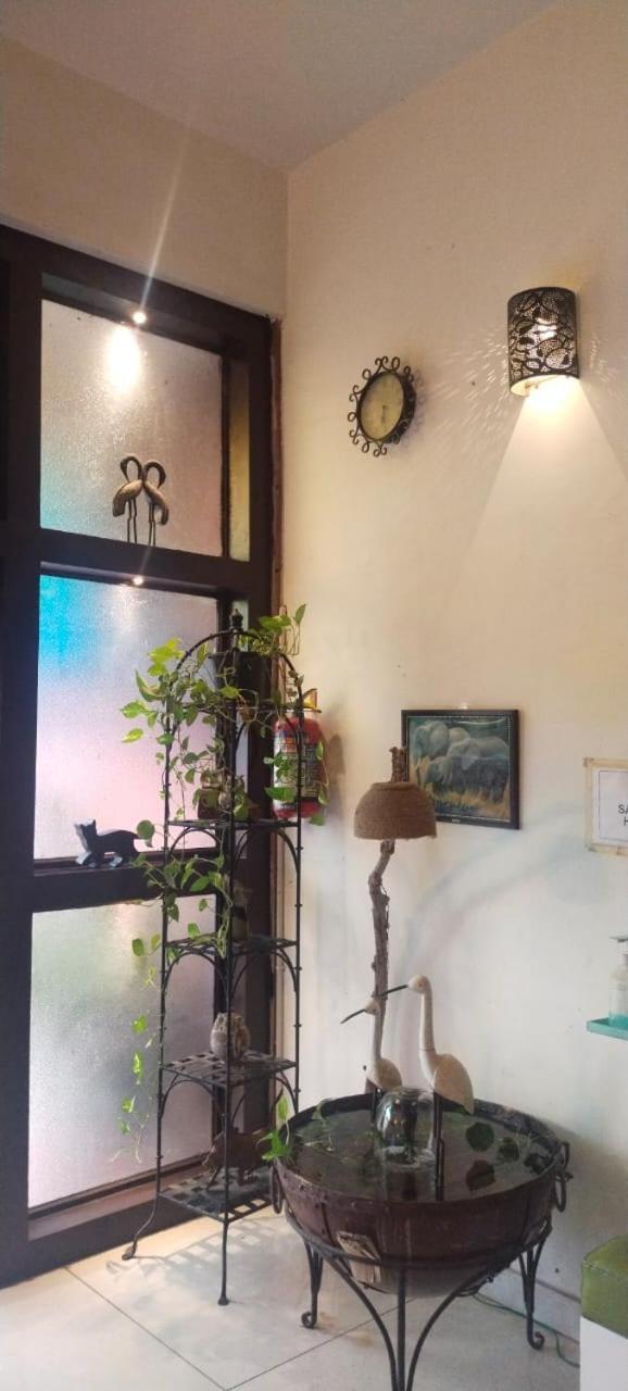 Rangbaari Stays & Cafe Jodhpur  Eksteriør bilde